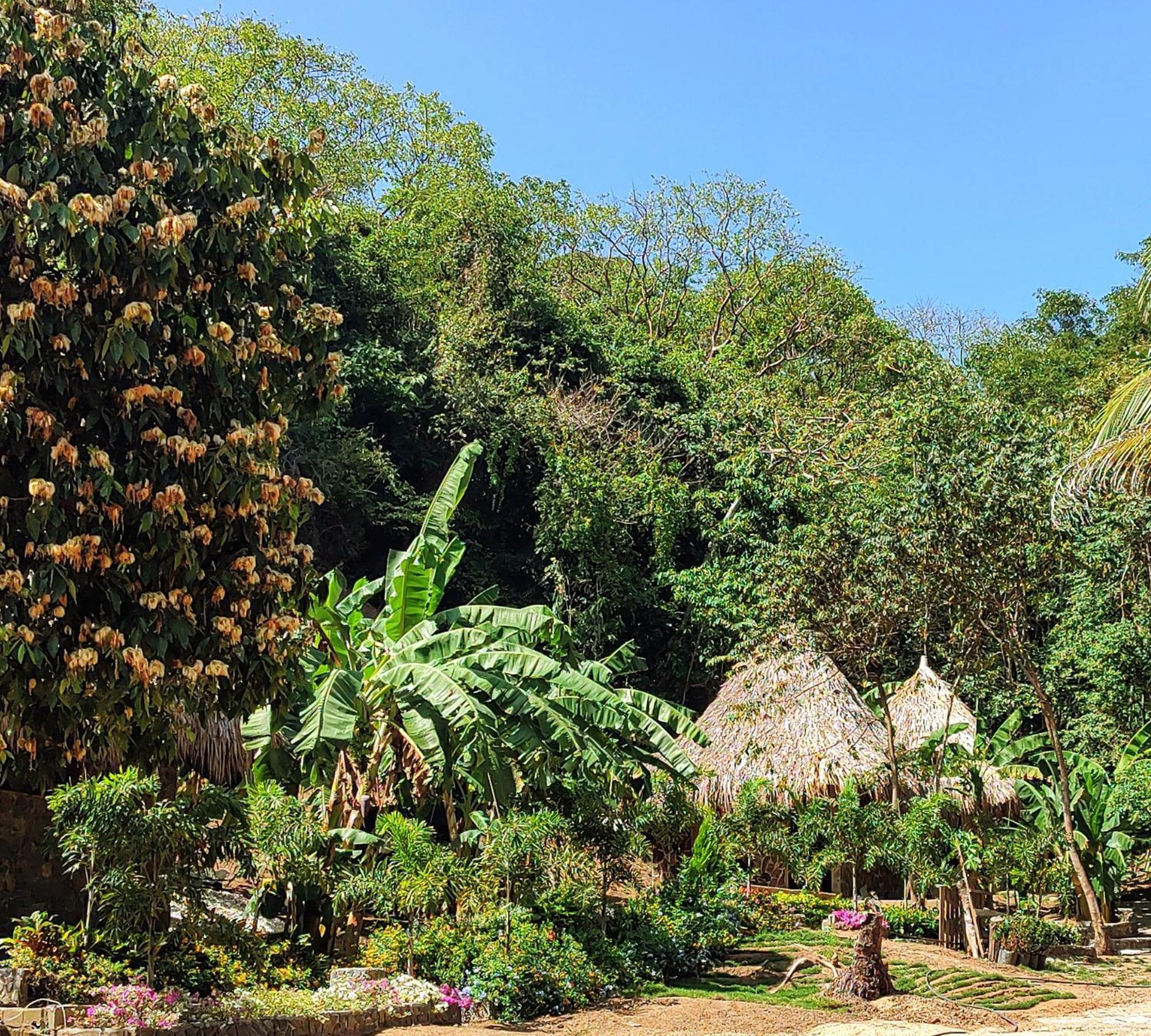 Colibri Parque Tayrona Dentro Del Parque Nacional Tayrona Bed & Breakfast El Zaino Exterior photo