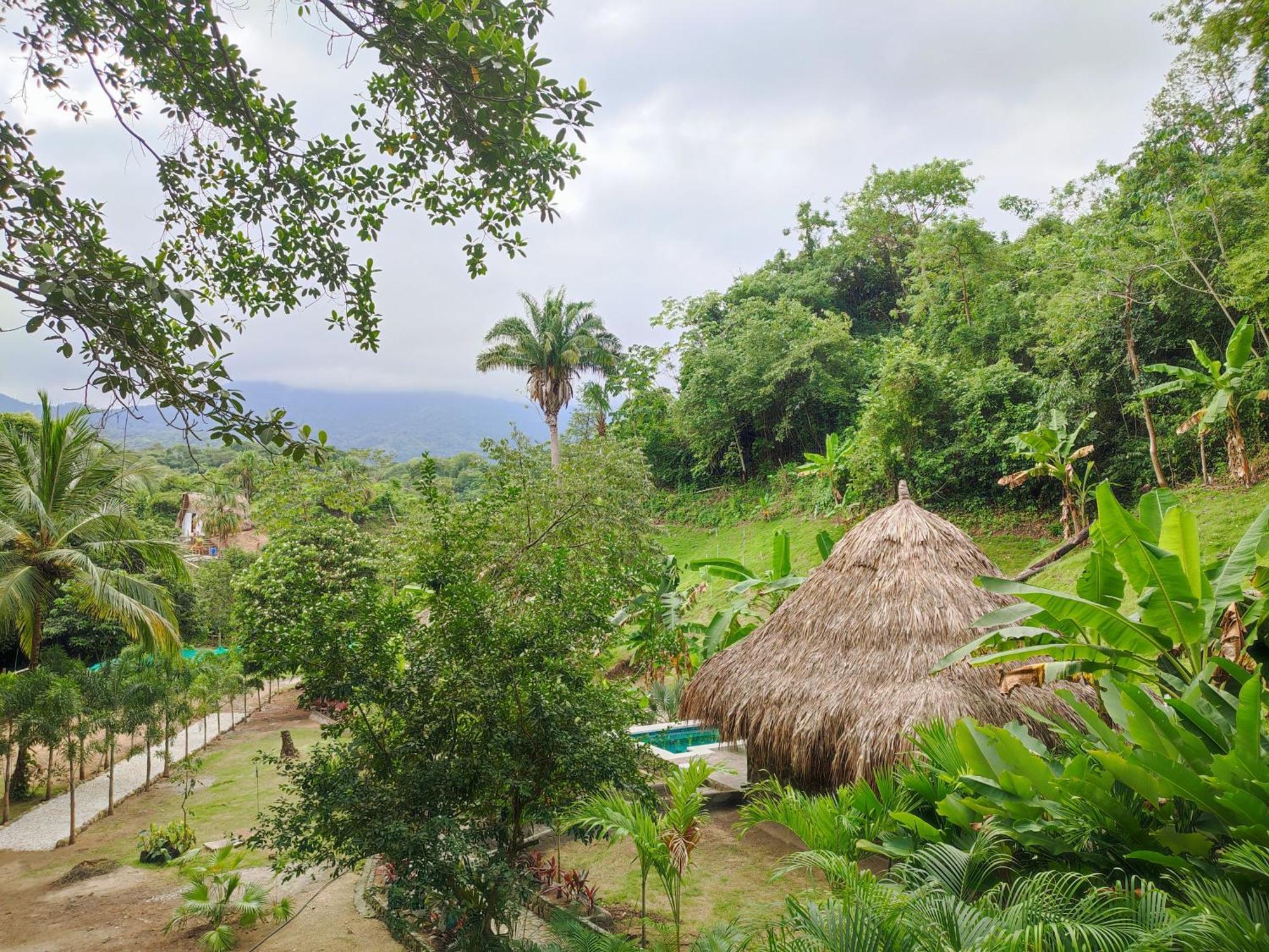 Colibri Parque Tayrona Dentro Del Parque Nacional Tayrona Bed & Breakfast El Zaino Exterior photo
