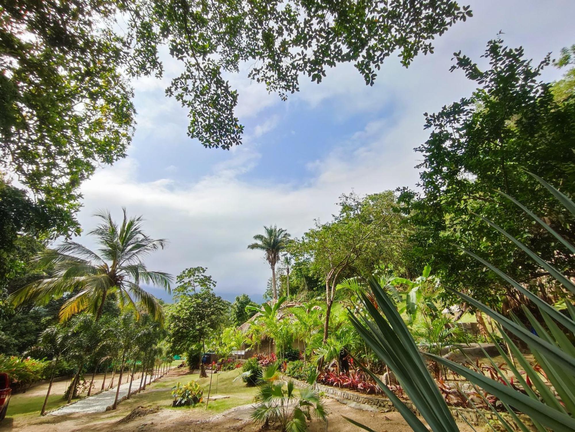 Colibri Parque Tayrona Dentro Del Parque Nacional Tayrona Bed & Breakfast El Zaino Exterior photo