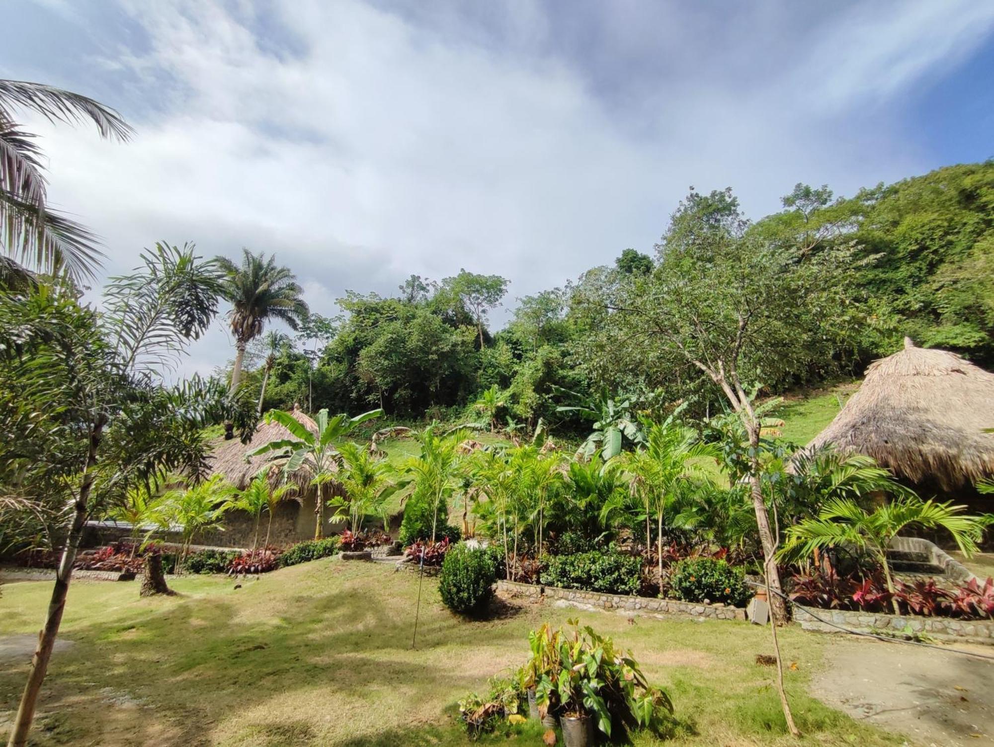 Colibri Parque Tayrona Dentro Del Parque Nacional Tayrona Bed & Breakfast El Zaino Exterior photo