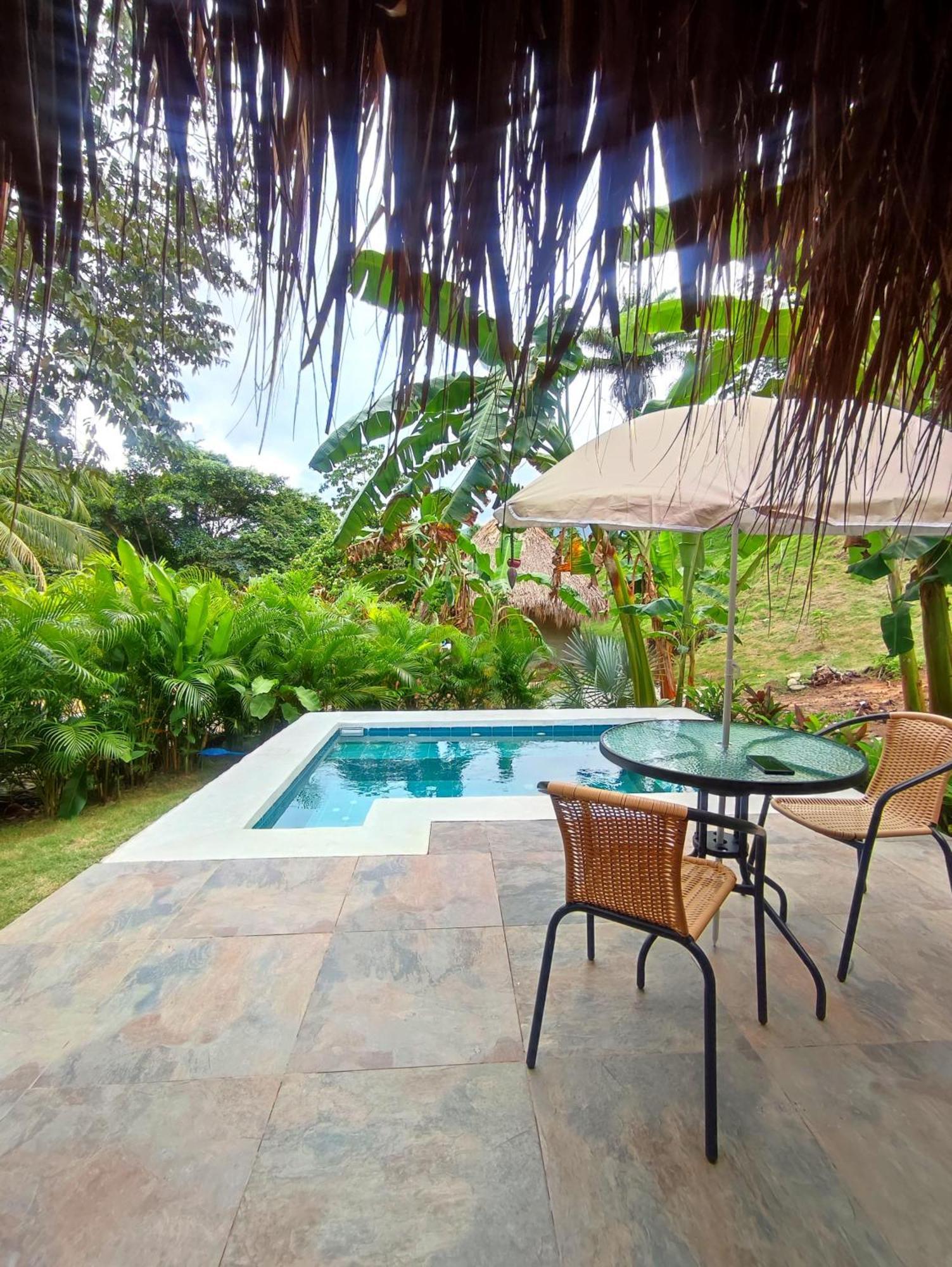 Colibri Parque Tayrona Dentro Del Parque Nacional Tayrona Bed & Breakfast El Zaino Exterior photo