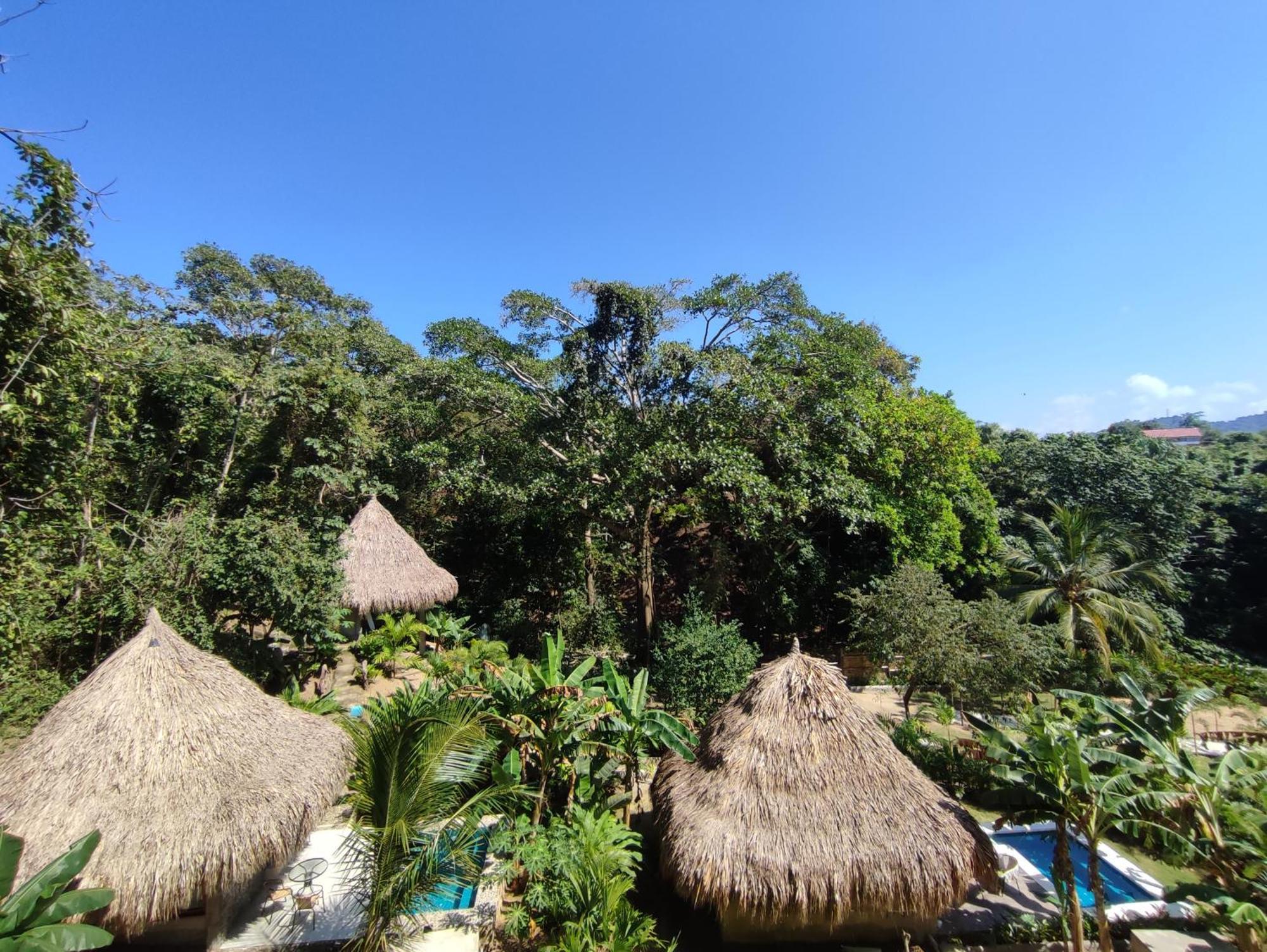 Colibri Parque Tayrona Dentro Del Parque Nacional Tayrona Bed & Breakfast El Zaino Exterior photo